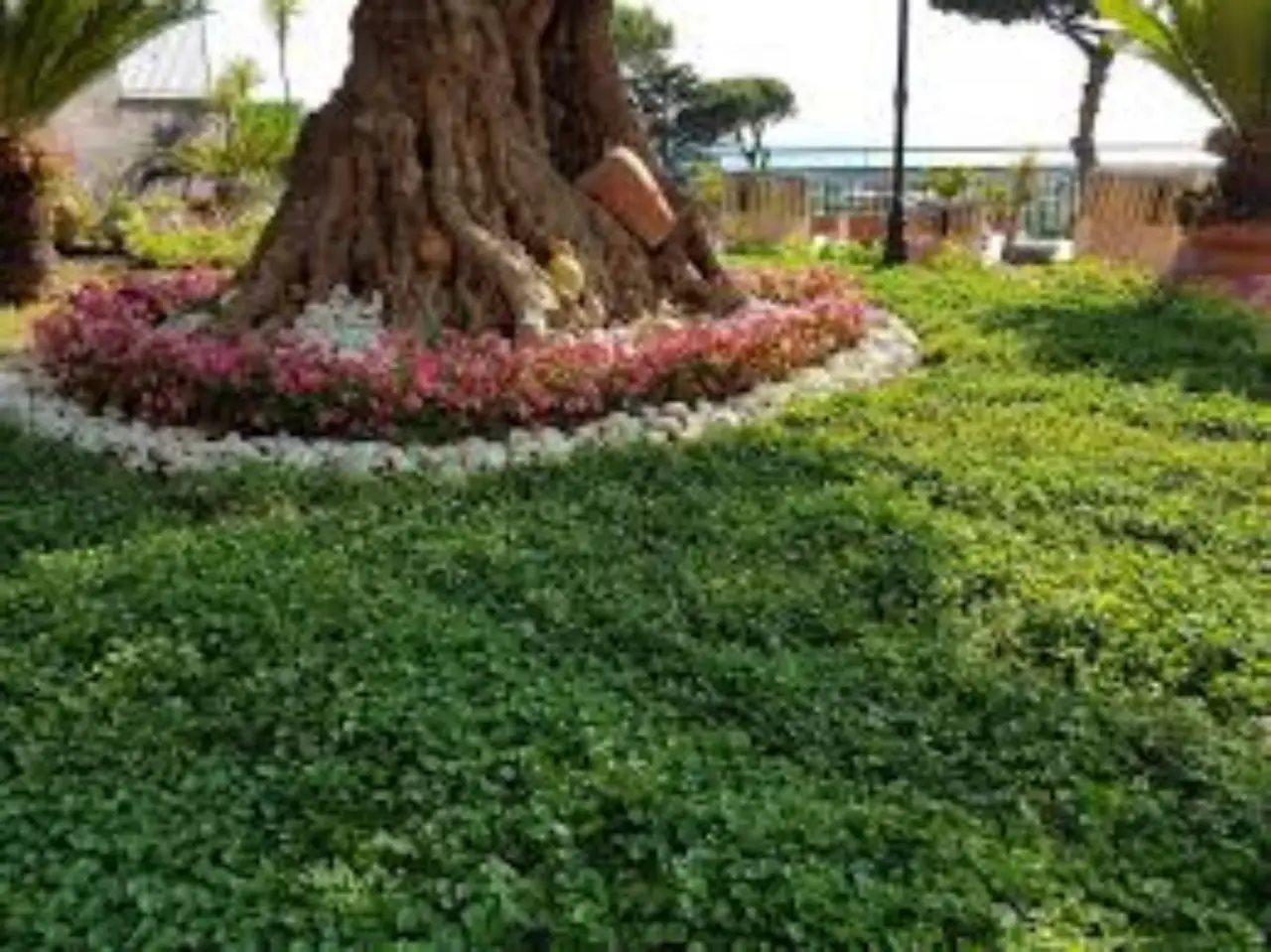 Il giardino dei sogni esiste: entra nella meraviglia italiana che è stata paragonata al Paradiso Immagine selezionata