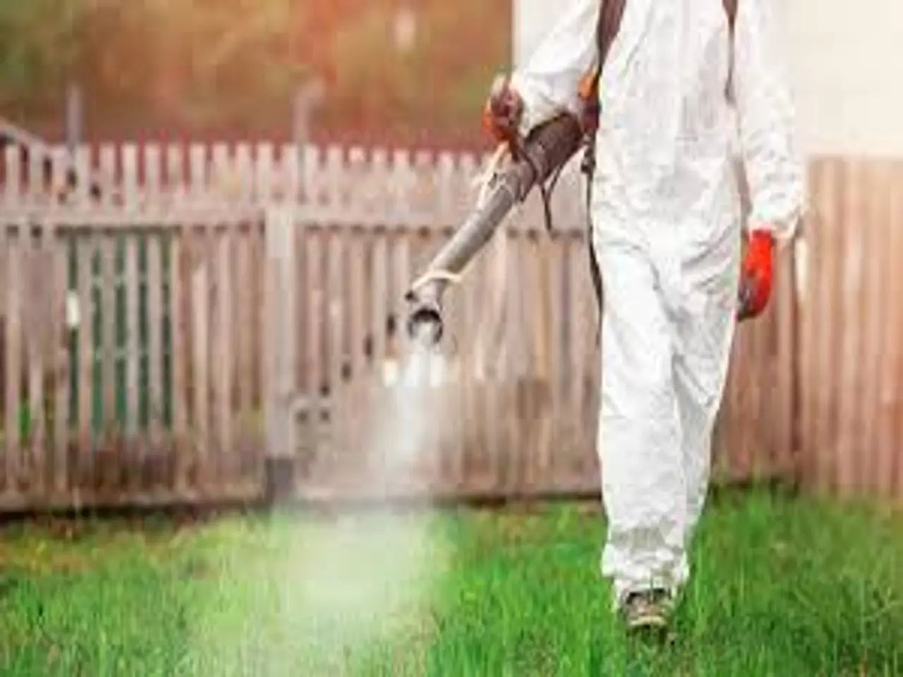 Stop alle erbacce tra i sassi: ecco il trucco dei giardinieri che nessuno ti aveva mai svelato Immagine selezionata