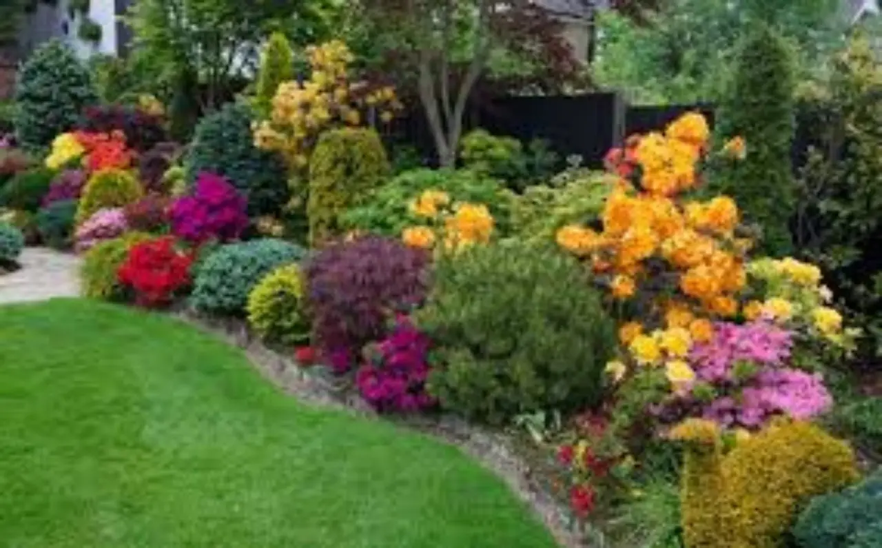 Piante invasive minacciano il tuo giardino: ecco come proteggerti