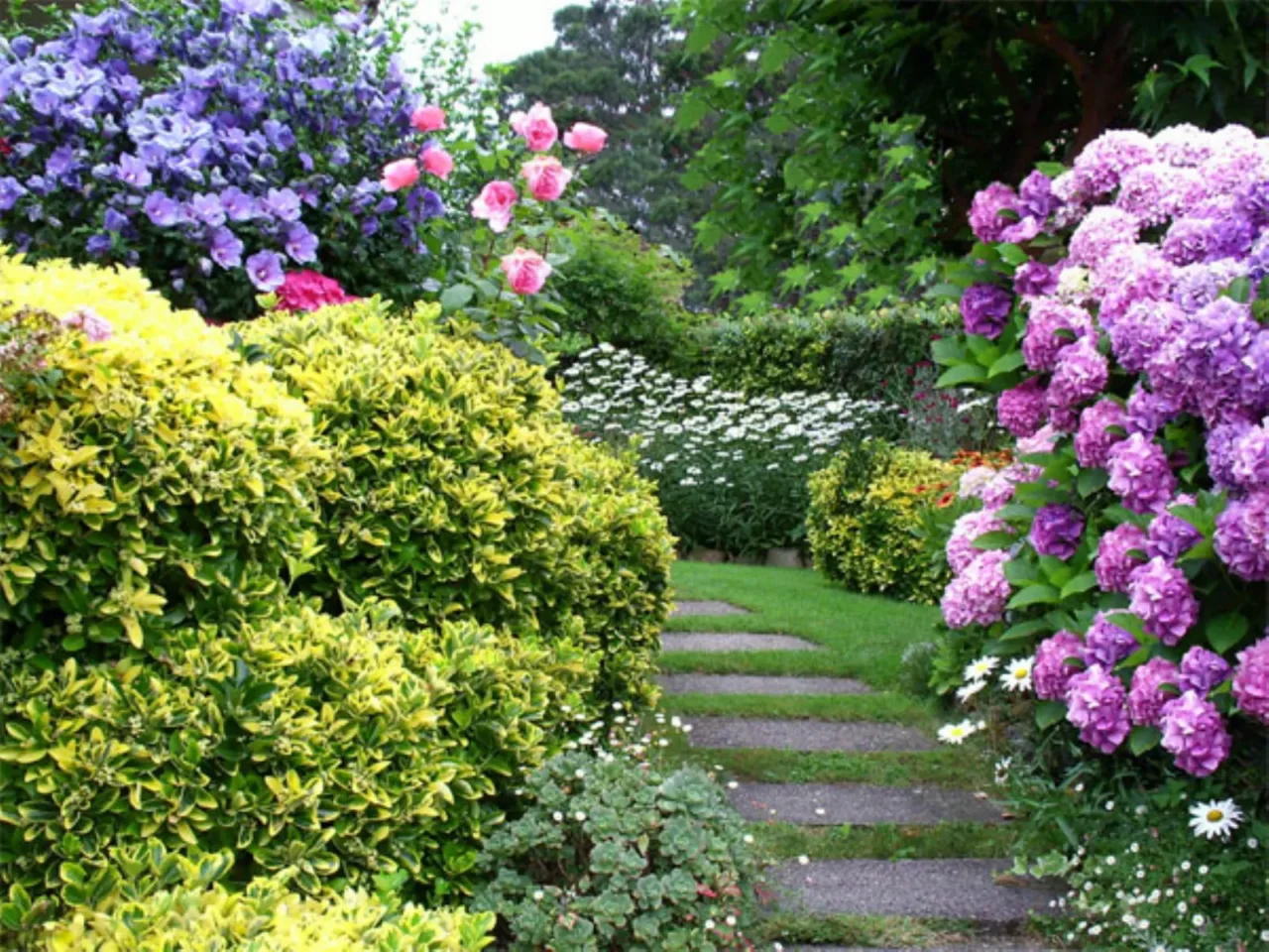 Piante invasive minacciano il tuo giardino: ecco come proteggerti Immagine selezionata