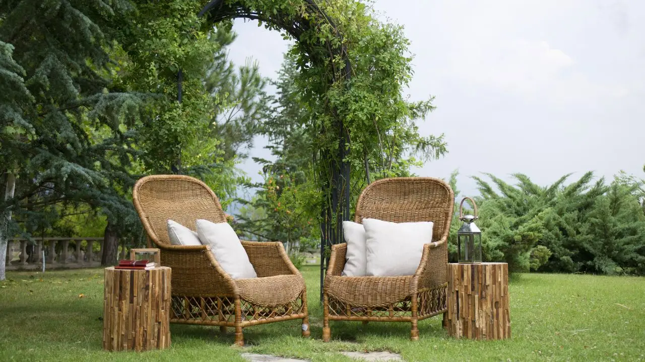Premiato il giardino più ecosostenibile: scopri come rendere la tua casa un’oasi verde! Immagine selezionata