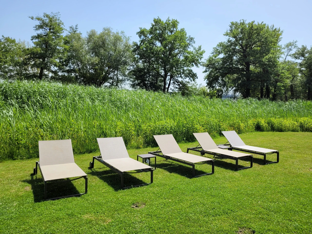 Premiato il giardino più ecosostenibile: scopri come rendere la tua casa un’oasi verde! Immagine selezionata