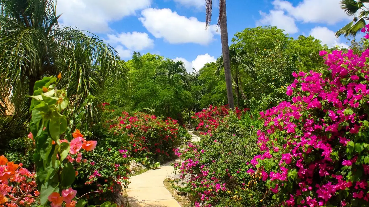 Giardino botanico minacciato dai tagli ai finanziamenti: ecco perché rischia di scomparire