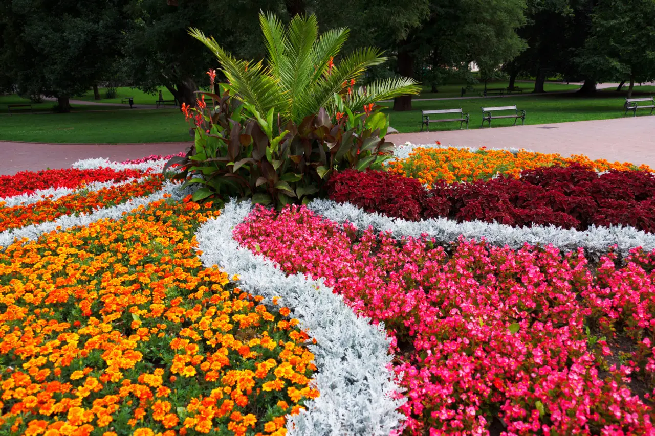Giardino botanico minacciato dai tagli ai finanziamenti: ecco perché rischia di scomparire Immagine selezionata