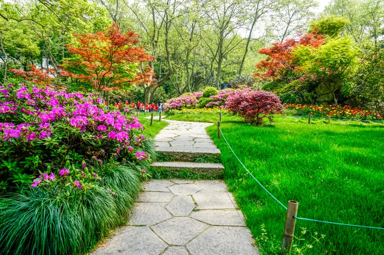Giardino botanico minacciato dai tagli ai finanziamenti: ecco perché rischia di scomparire Immagine selezionata
