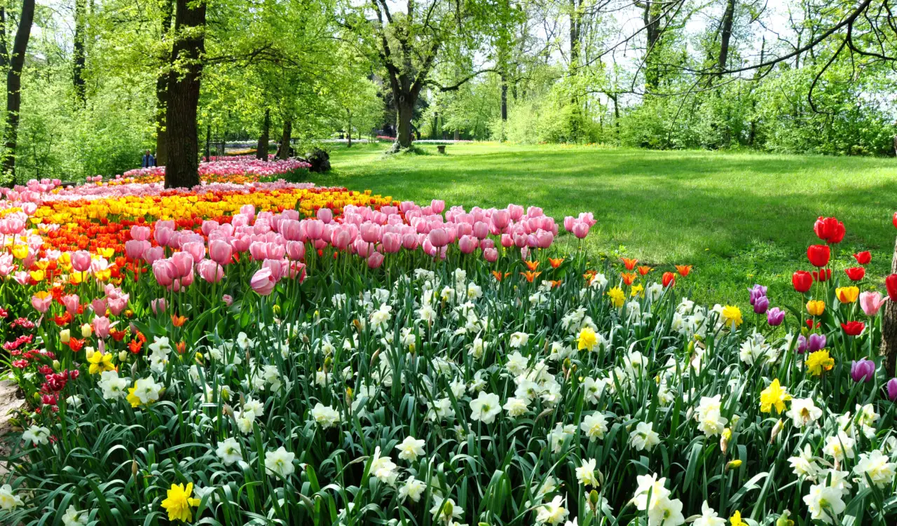 Giardino botanico minacciato dai tagli ai finanziamenti: ecco perché rischia di scomparire Immagine selezionata