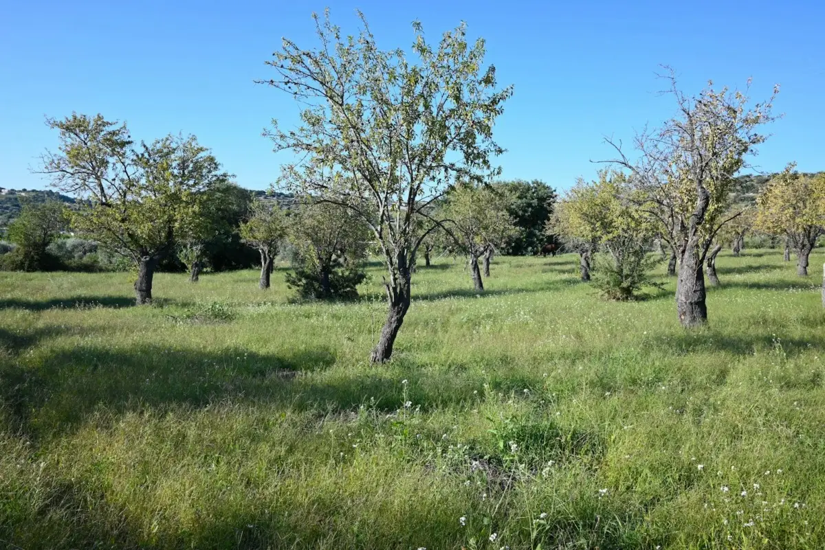 Tesori nascosti la riserva naturale apre al pubblico le sue rarità sconosciute Immagine selezionata