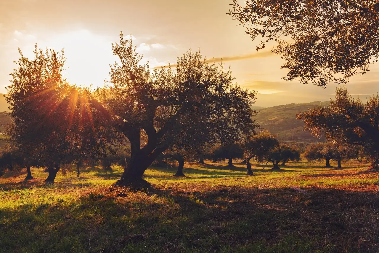 Tesori nascosti la riserva naturale apre al pubblico le sue rarità sconosciute Immagine selezionata