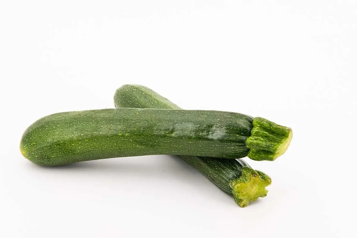 Come coltivare zucchine a maggio con metodi biologici Immagine selezionata