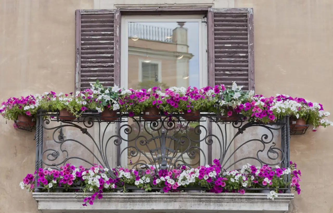Sei piante da balcone che resistono al caldo e al sole senza problemi Immagine selezionata