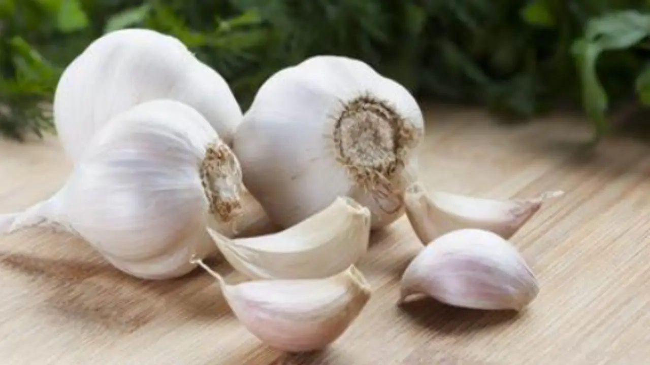 Aglio alleato naturale contro i parassiti delle piante