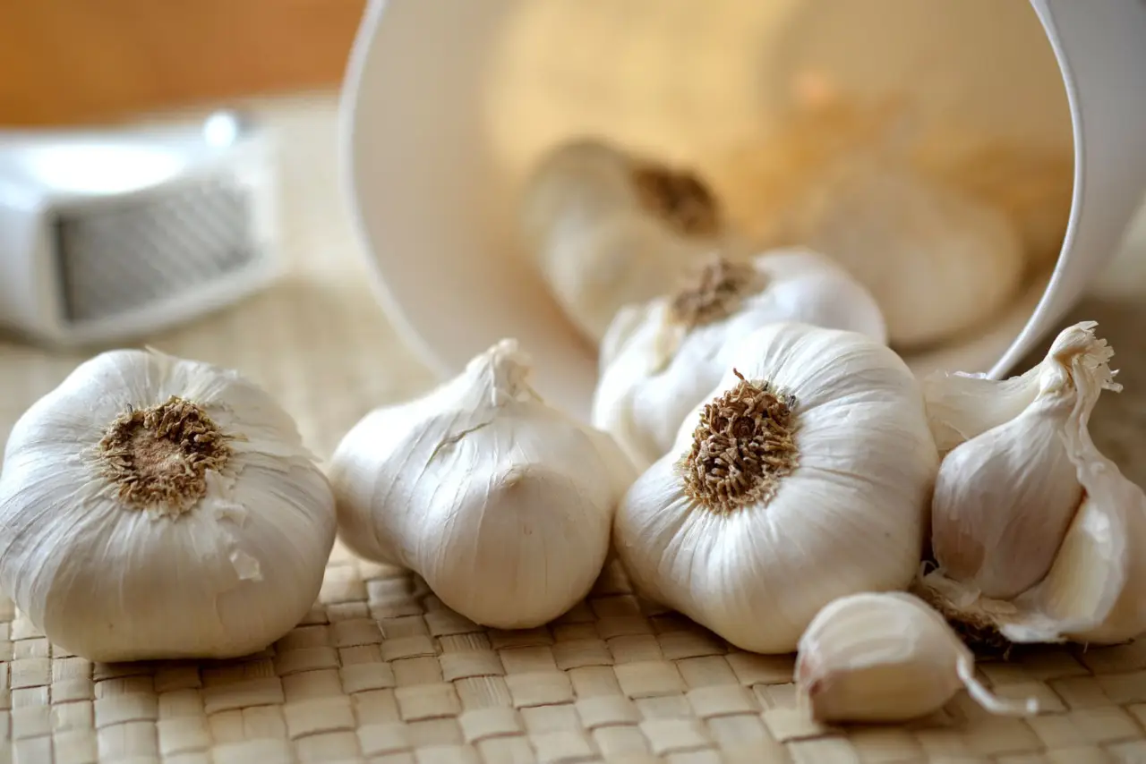 Aglio alleato naturale contro i parassiti delle piante Immagine selezionata