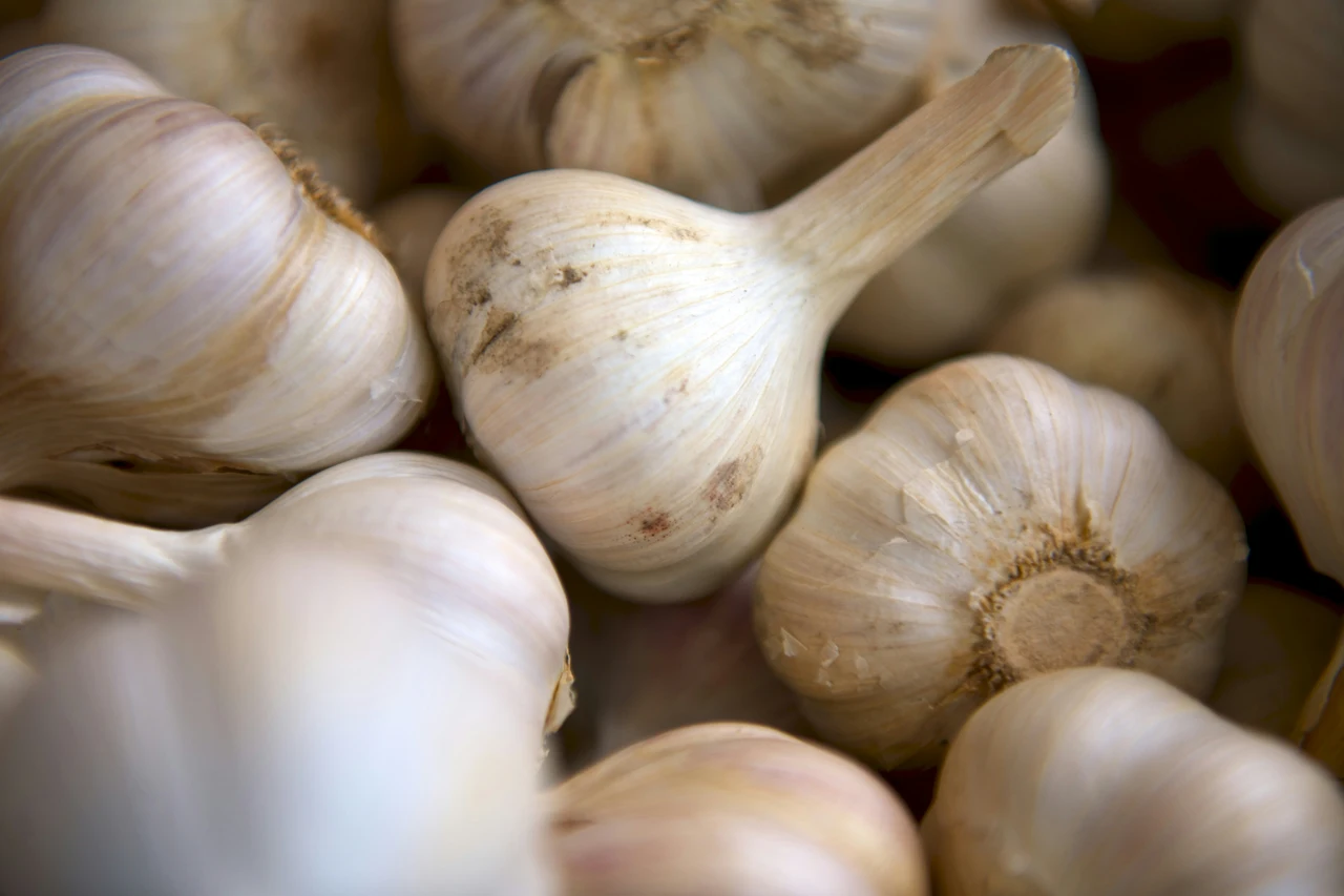 Aglio alleato naturale contro i parassiti delle piante Immagine selezionata