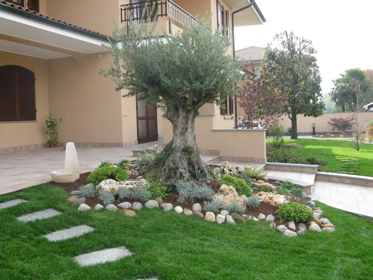 Guida alla creazione di un giardino mediterraneo: le specie vegetali consigliate Immagine selezionata