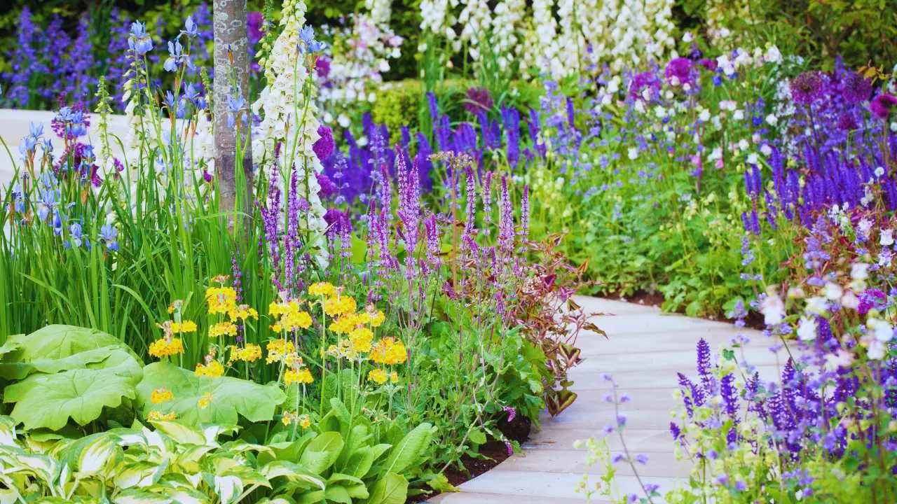 Idee facili per trasformare il giardino in uno spazio più accogliente Immagine selezionata