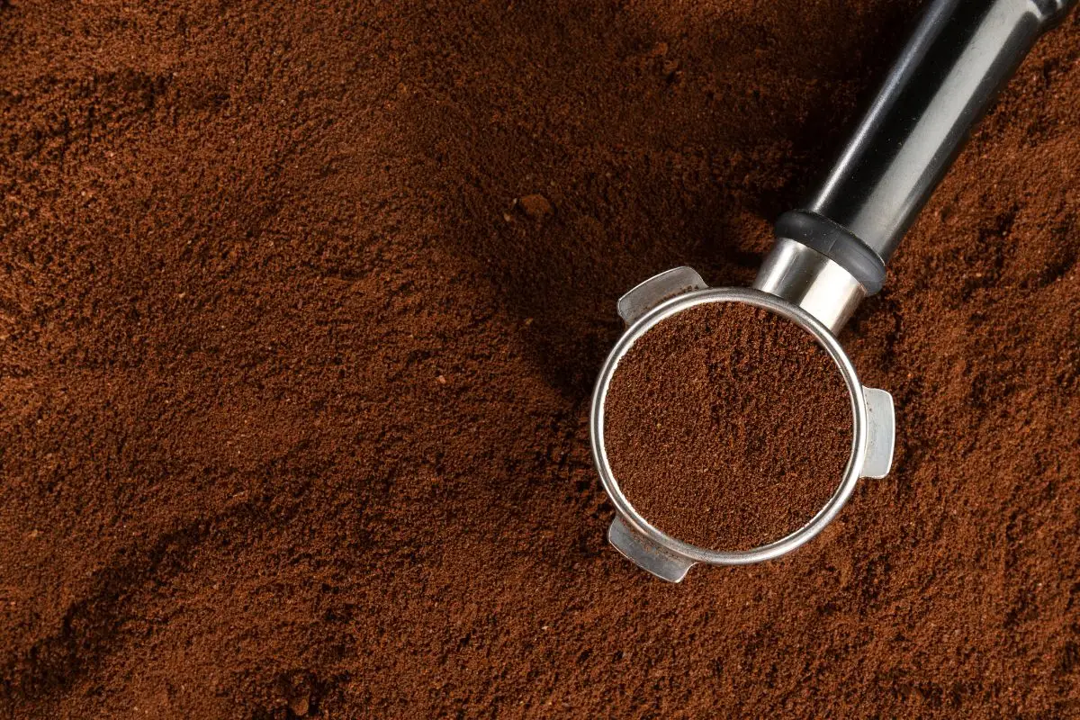 Come usare i fondi di caffè nell’orto: ecco i benefici e limiti