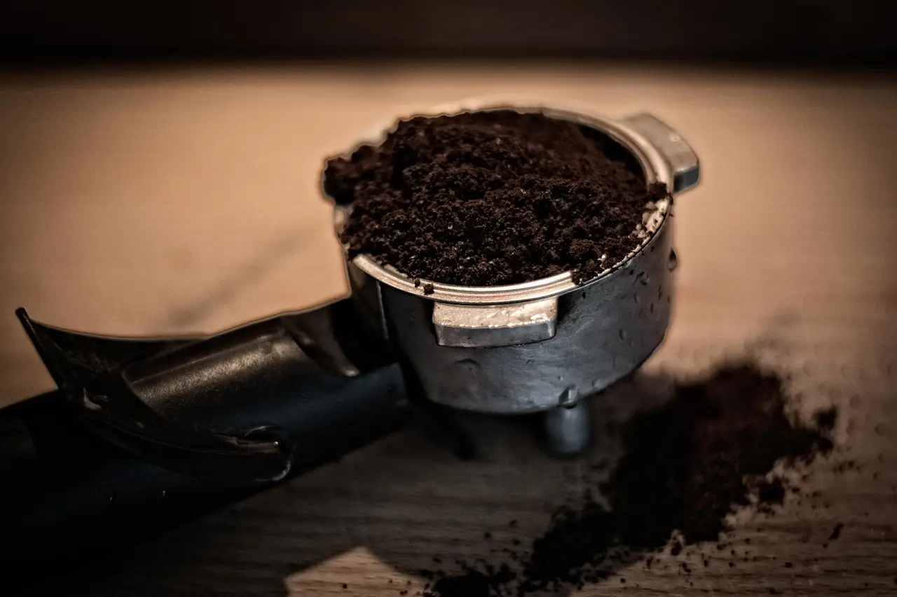 Come usare i fondi di caffè nell’orto: ecco i benefici e limiti Immagine selezionata