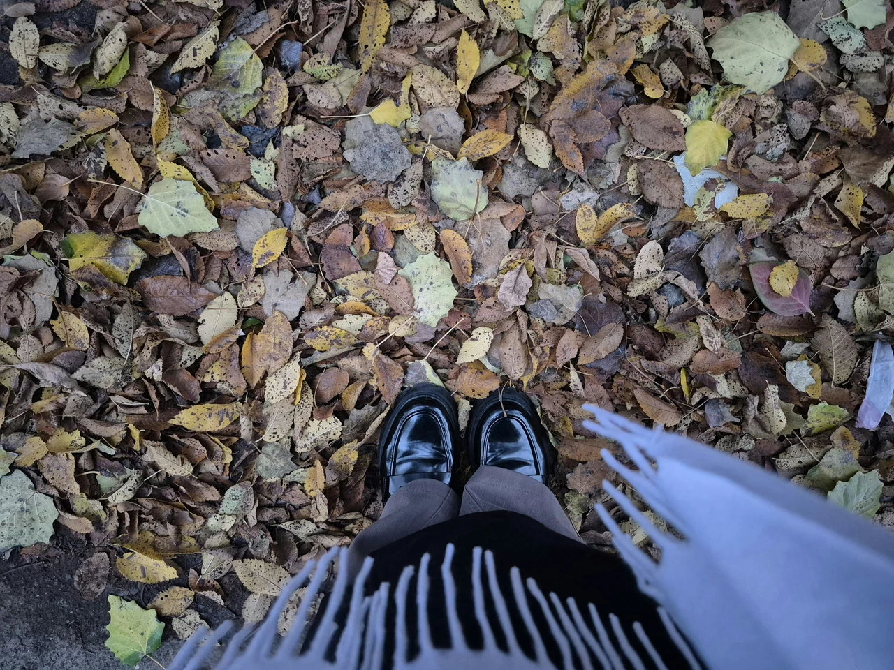 Foglie secche alleate del terreno: ecco come utilizzarle per arricchire il suolo
