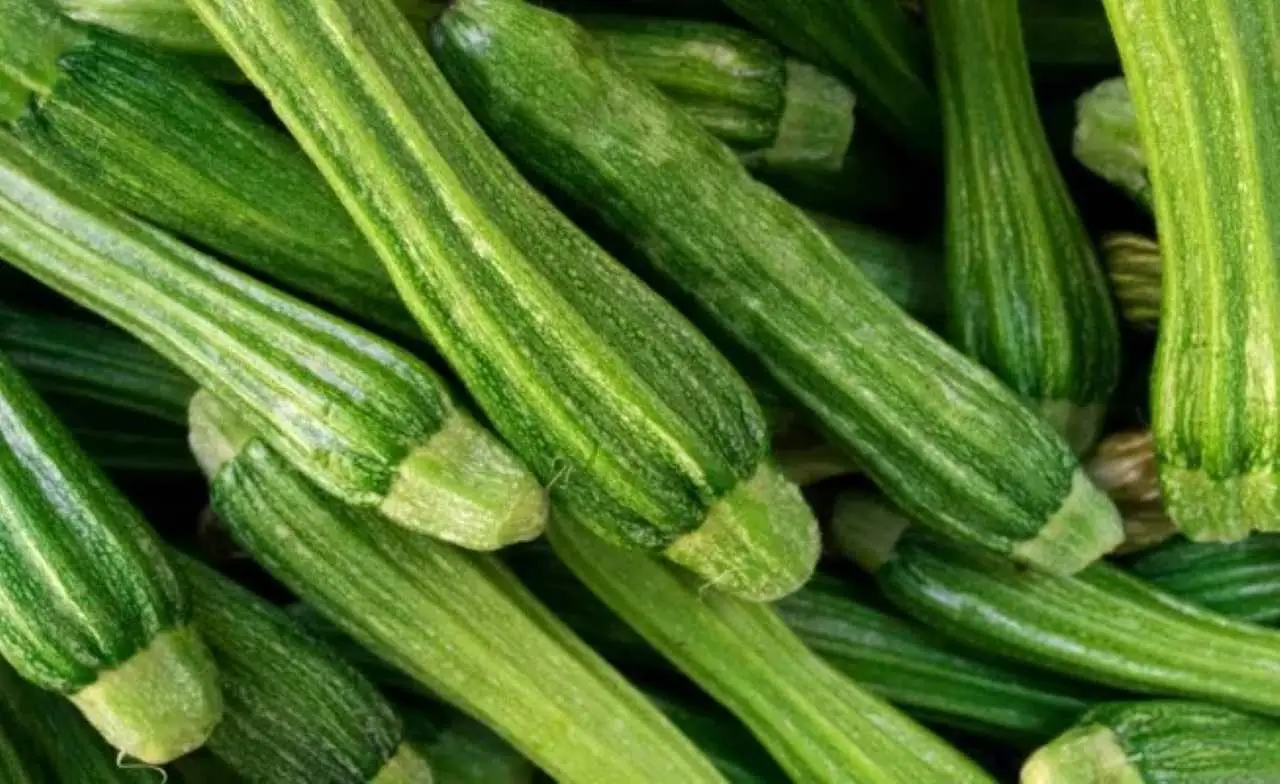 Quattro consigli per ottenere un raccolto abbondante di zucchine Immagine selezionata