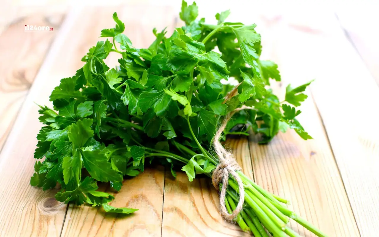 Guida alla coltivazione delle erbe aromatiche direttamente in cucina Guida alla coltivazione delle erbe aromatiche direttamente in cucina