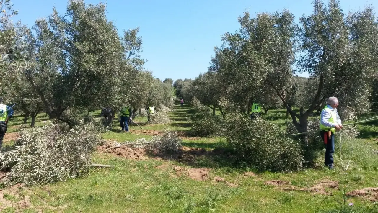 Non lasciare mai le radici esposte dopo il rinvaso Non lasciare mai le radici esposte dopo il rinvaso