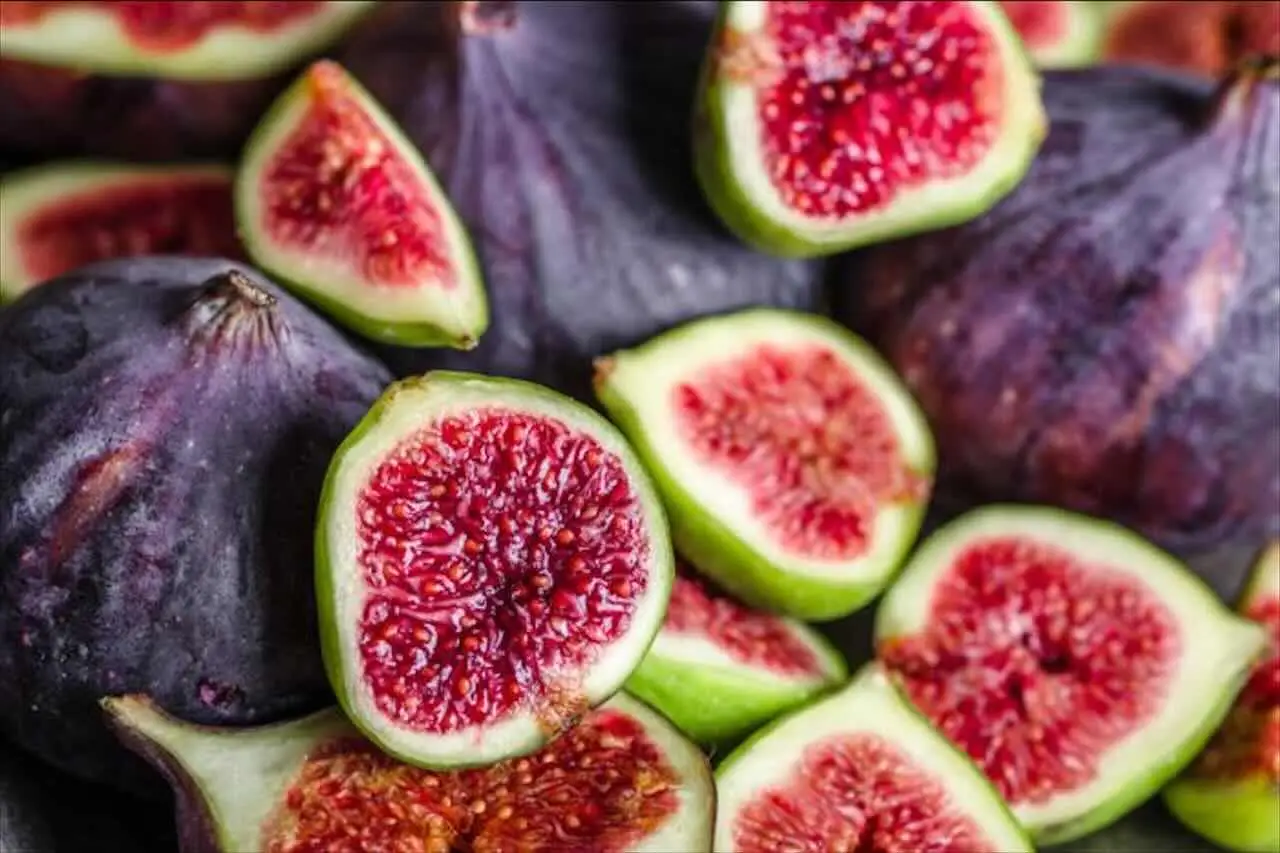 Il fico la scelta indispensabile per rendere unico il tuo giardino Il fico la scelta indispensabile per rendere unico il tuo giardino