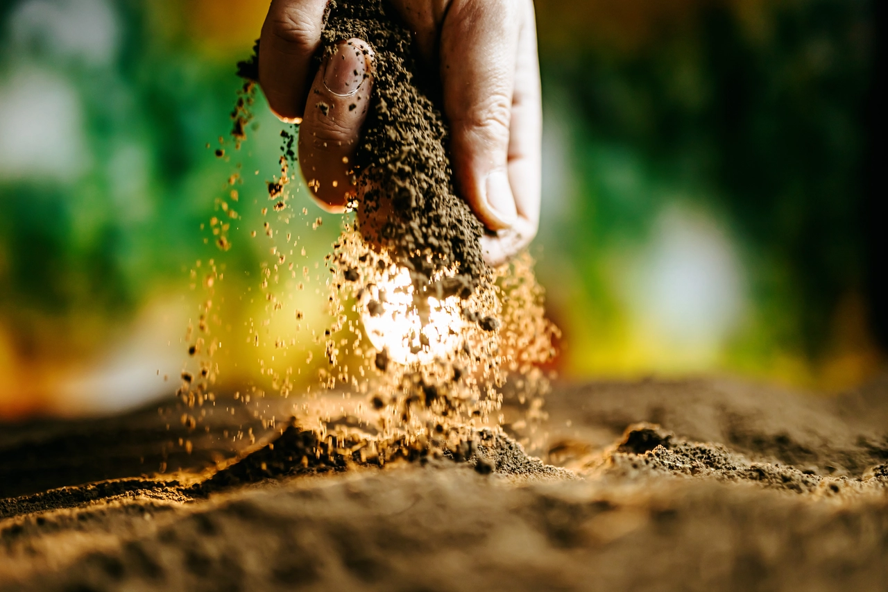 Attenzione al terreno troppo sabbioso: trattiene poca umidità Attenzione al terreno troppo sabbioso: trattiene poca umidità