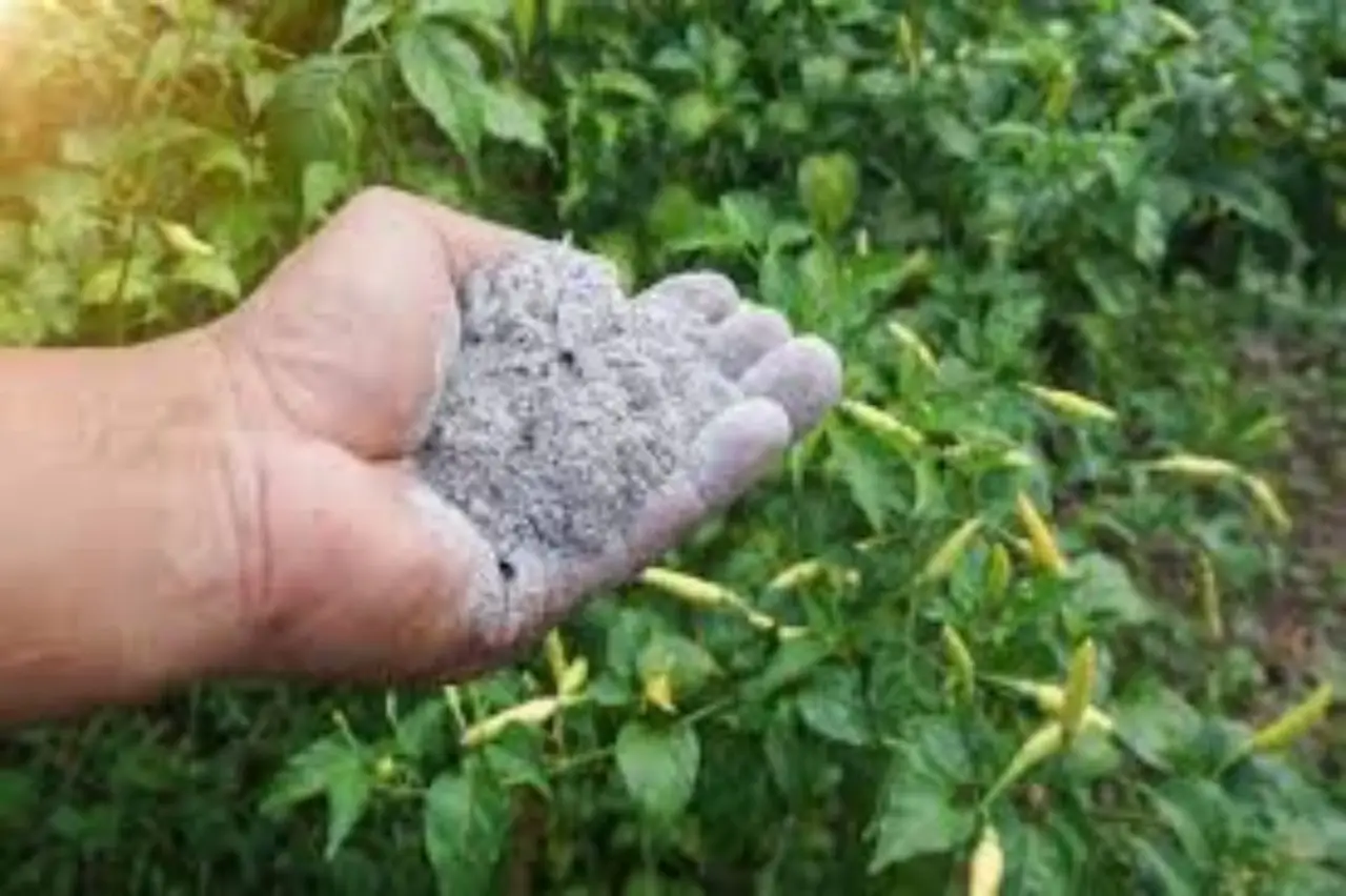 Concime naturale fai da te: i consigli dell’agronomo per piante sane e forti Concime naturale fai da te: i consigli dell’agronomo per piante sane e forti
