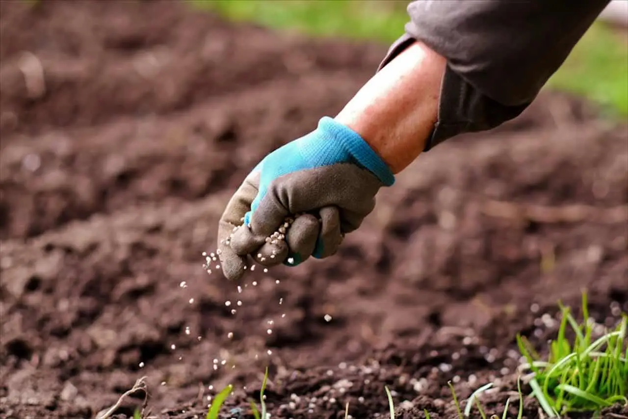 Concime naturale fai da te: i consigli dell’agronomo per piante sane e forti SC - concime naturale
