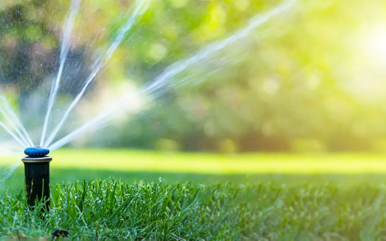 Come ridurre il consumo d’acqua nel giardino senza rinunciare ai colori Come ridurre il consumo d’acqua nel giardino senza rinunciare ai colori