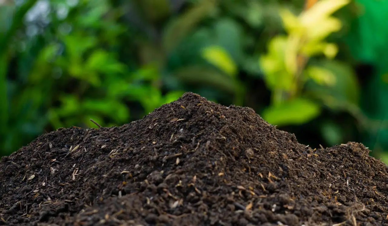 Come fare compost in casa senza cattivi odori Come fare compost in casa senza cattivi odori
