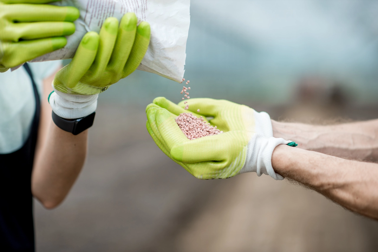 Fertilizzanti naturali: la guida dell’agronomo per nutrire le piante senza rischi Fertilizzanti naturali: la guida dell’agronomo per nutrire le piante senza rischi