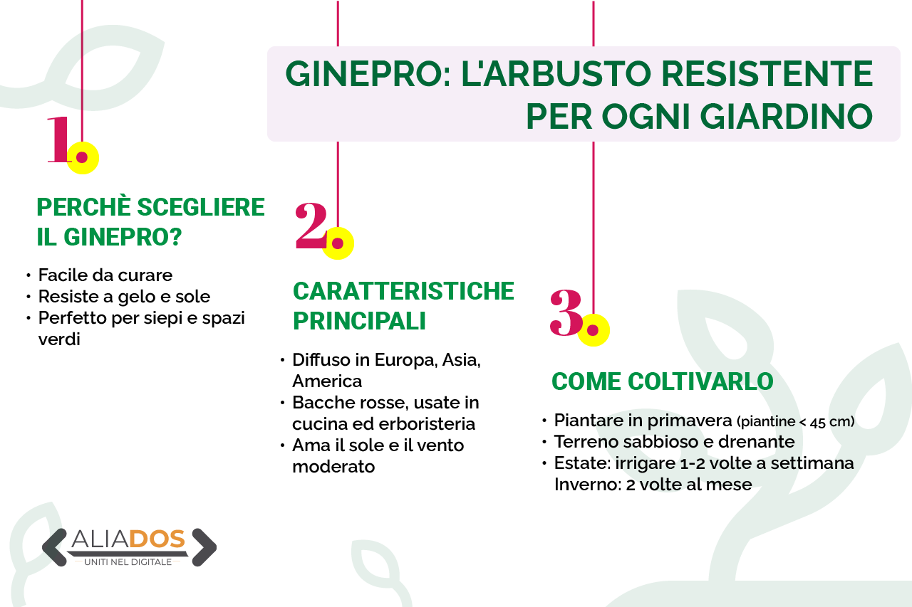 L’arbusto resistente che pochi conoscono ma tutti vorrebbero: fioriture profumate anche con il gelo Immagine selezionata